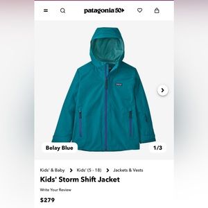 Brand New Patagonia Winter Coat